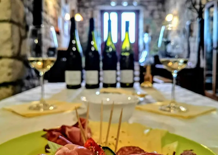 Tatil Evi Aranynap Vendeghaz Es Boraszat *