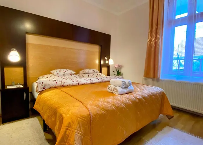 Tatil Evi Aranynap Vendeghaz Es Boraszat *
